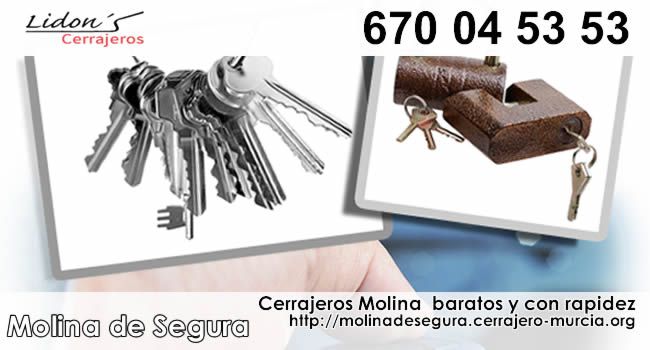 cerrajeros molina de segurabaratos